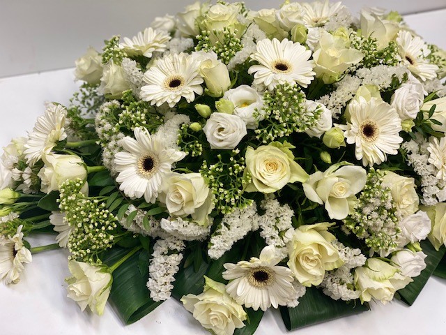 wit-2n.jpg wit-2n.jpg